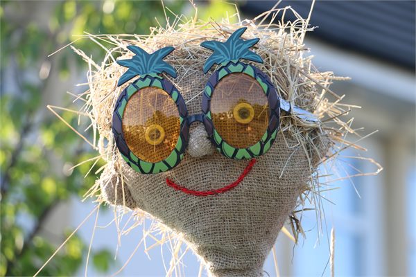 Scarecrows 2015