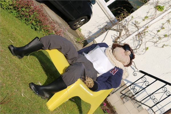 Scarecrows 2015