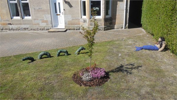 Scarecrows 2017