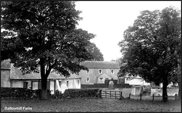 Farm 205