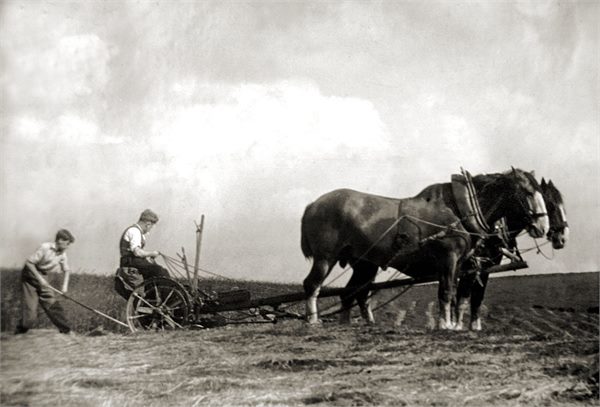 VL 133