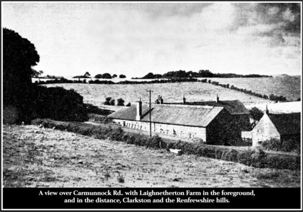 Farm 203