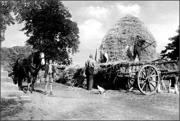 Farm 107