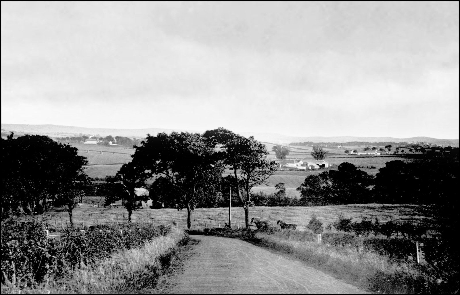 CD 008