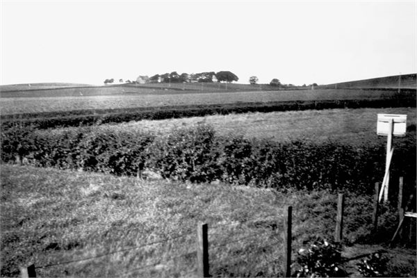 JL 009