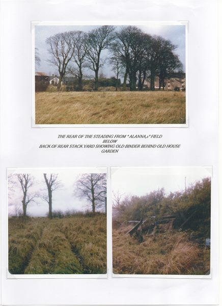Scan 33