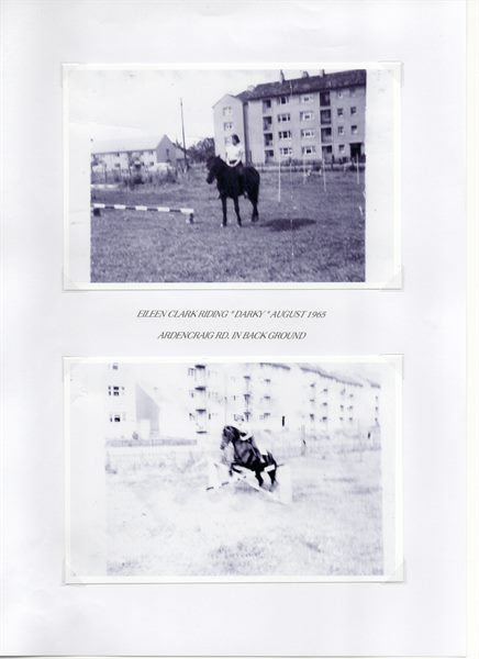Scan 5