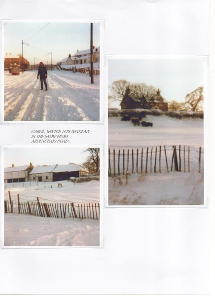 Scan 21