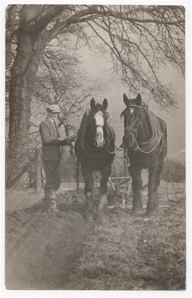 Feb1951