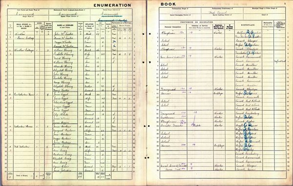 Census William Fleming/Isabella Mathieson 1911