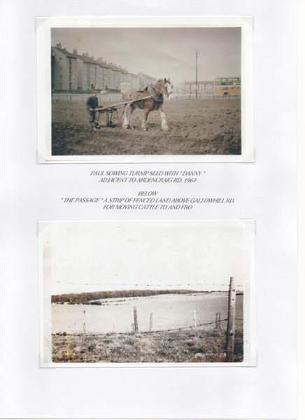 Scan 7