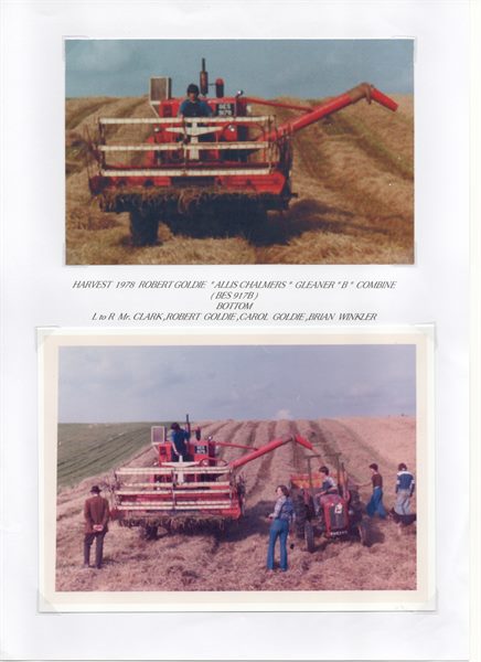 Scan 19