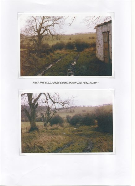 Scan 29