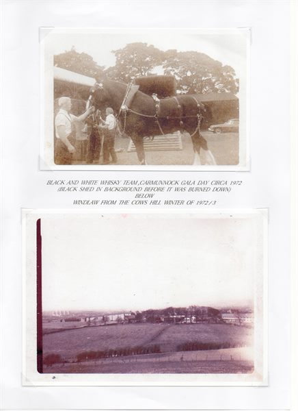 Scan 12