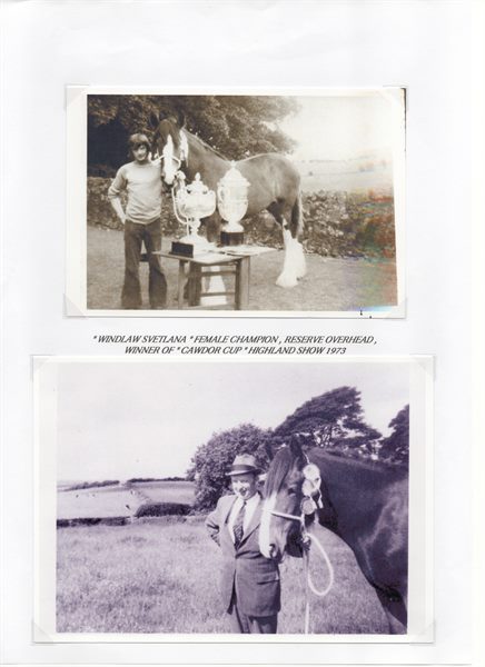 Scan 14