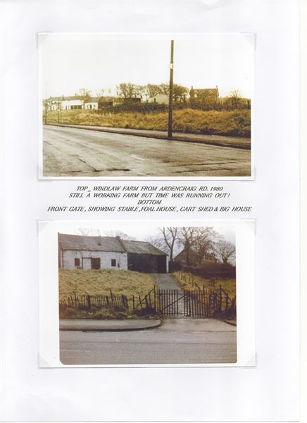 Scan 22