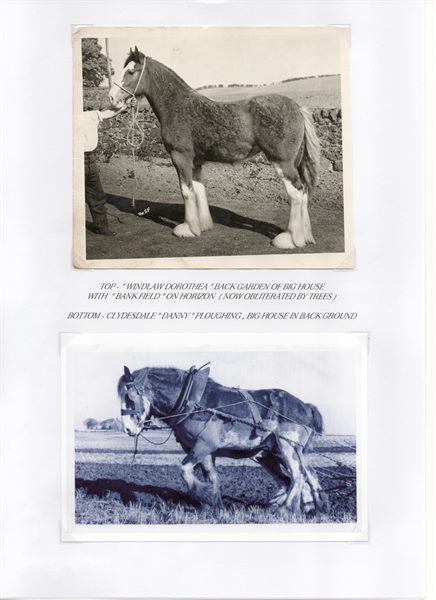 Scan 6