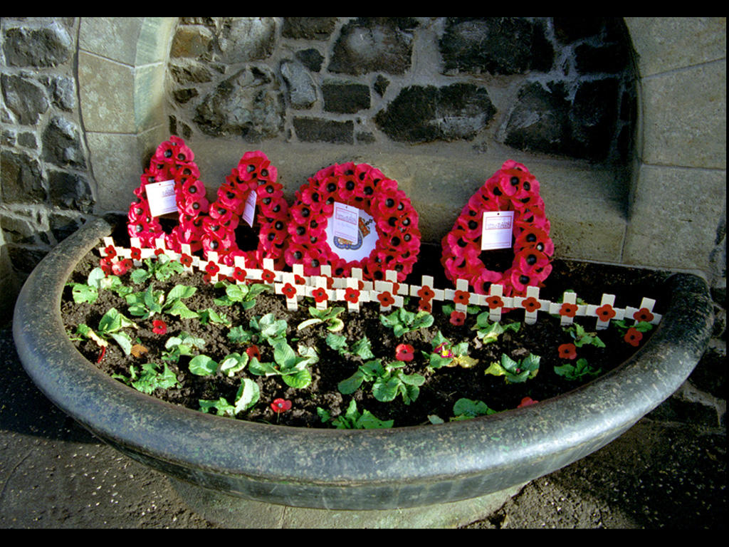 Vl