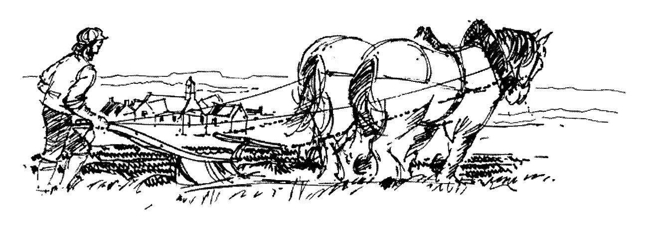 p024_ch02_sec3-5_w0139_img01