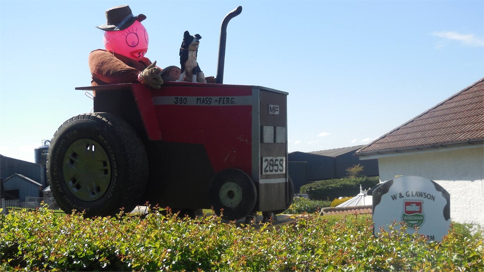 Scarecrows 2017