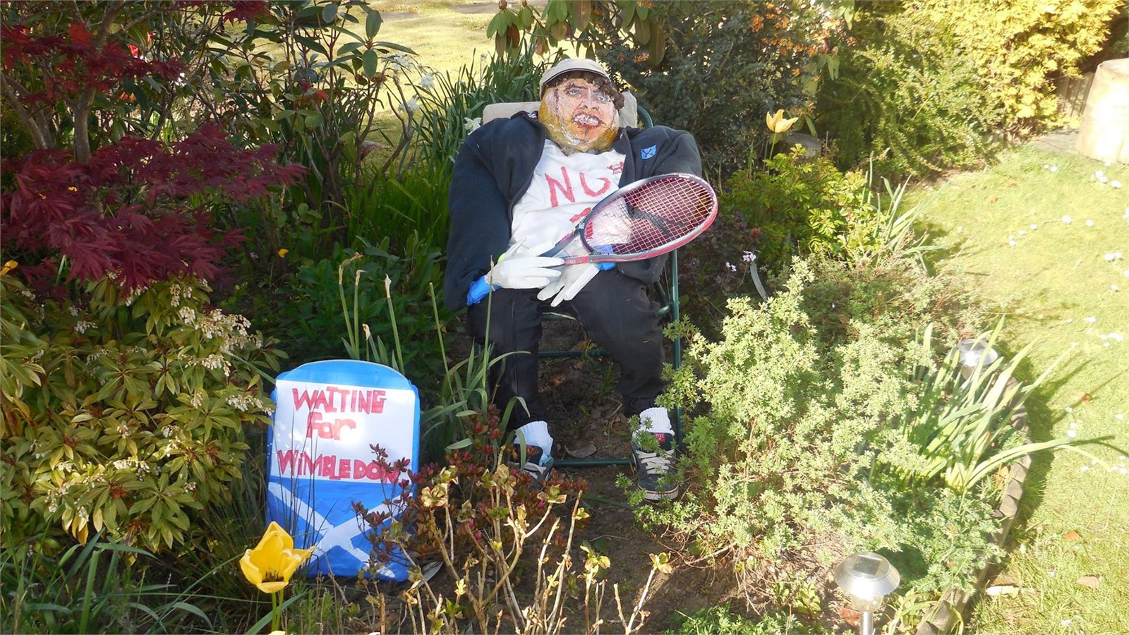 Scarecrows 2017