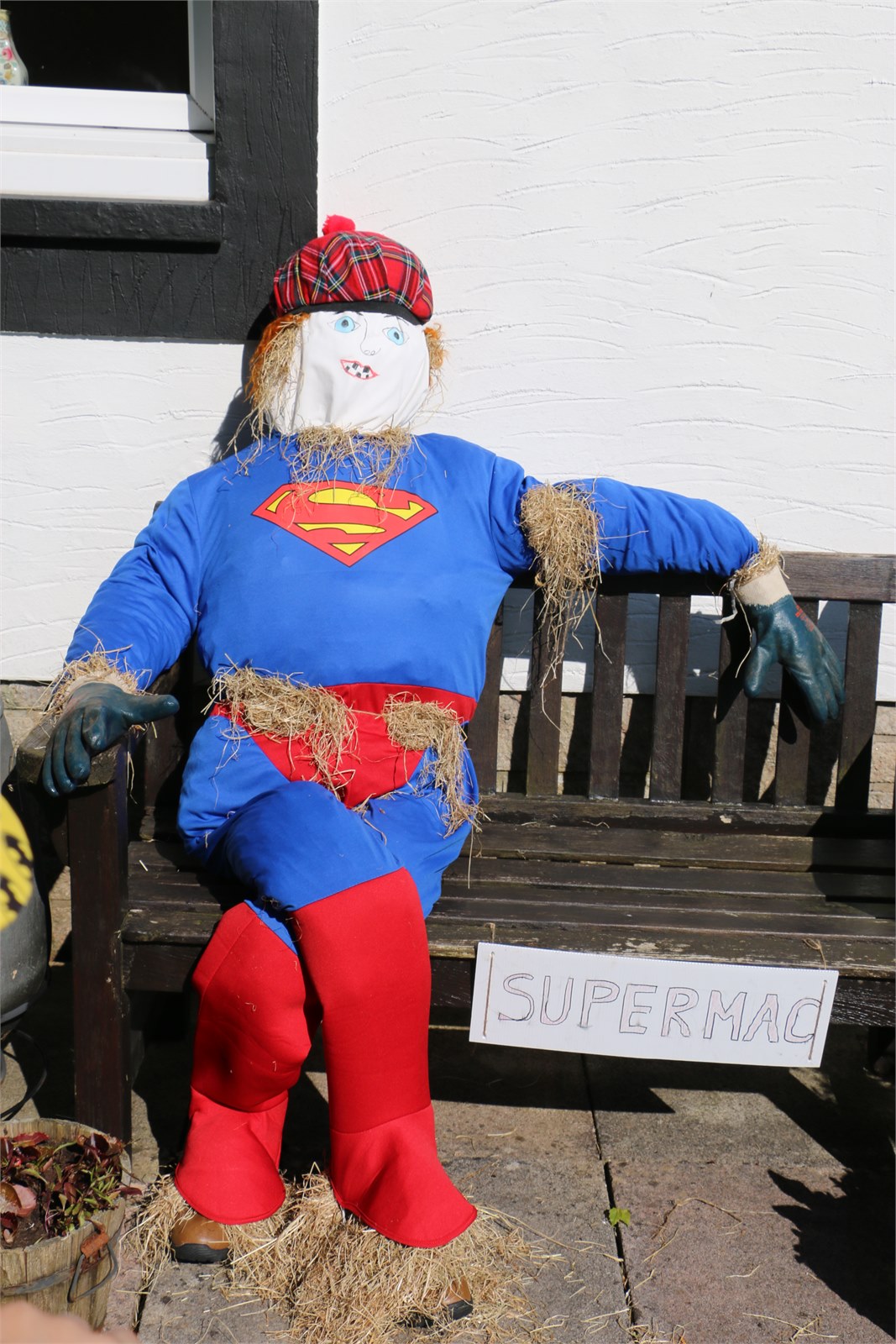 Scarecrows 2015