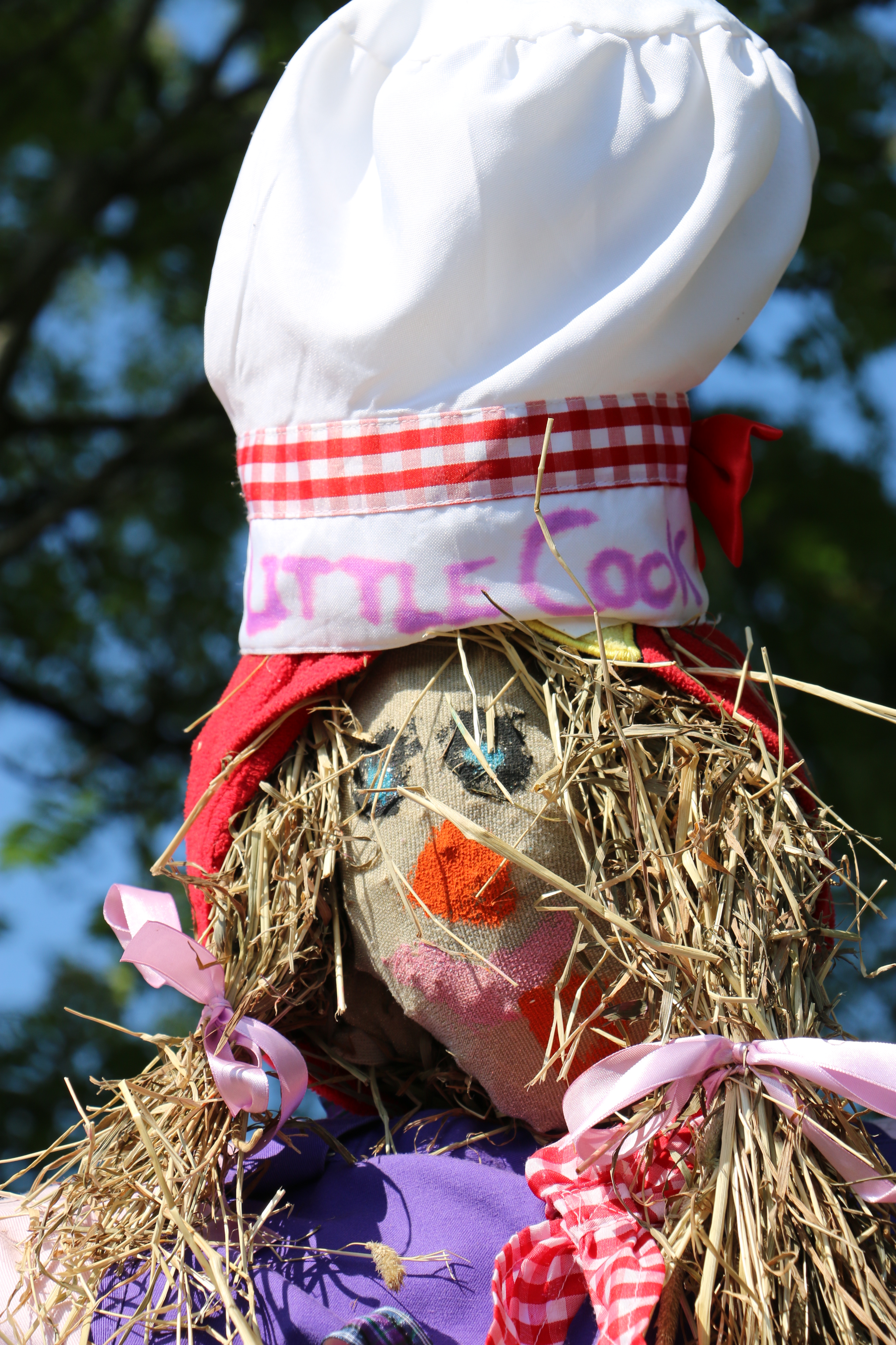 Scarecrows 2015