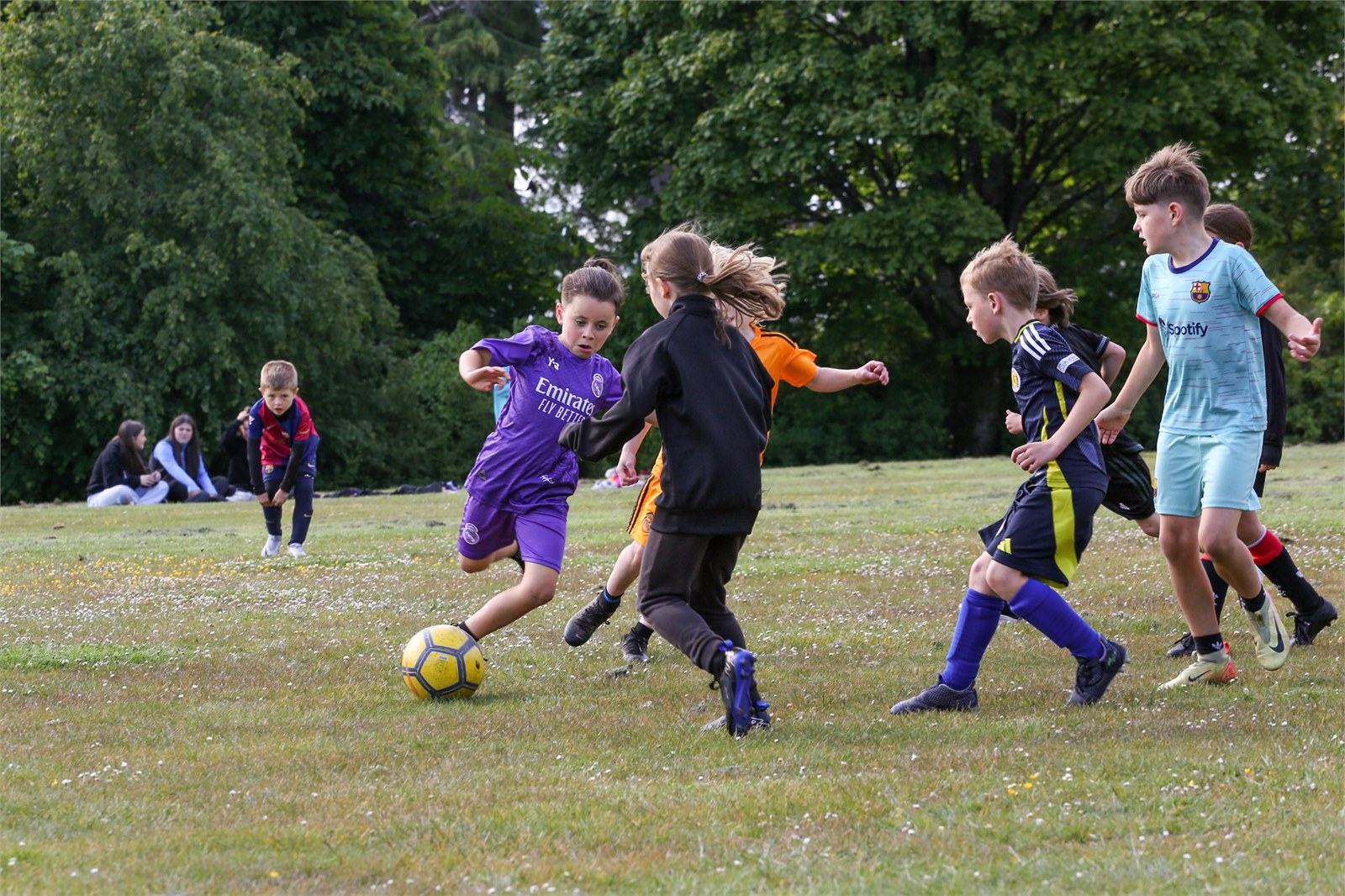 10232067445763813