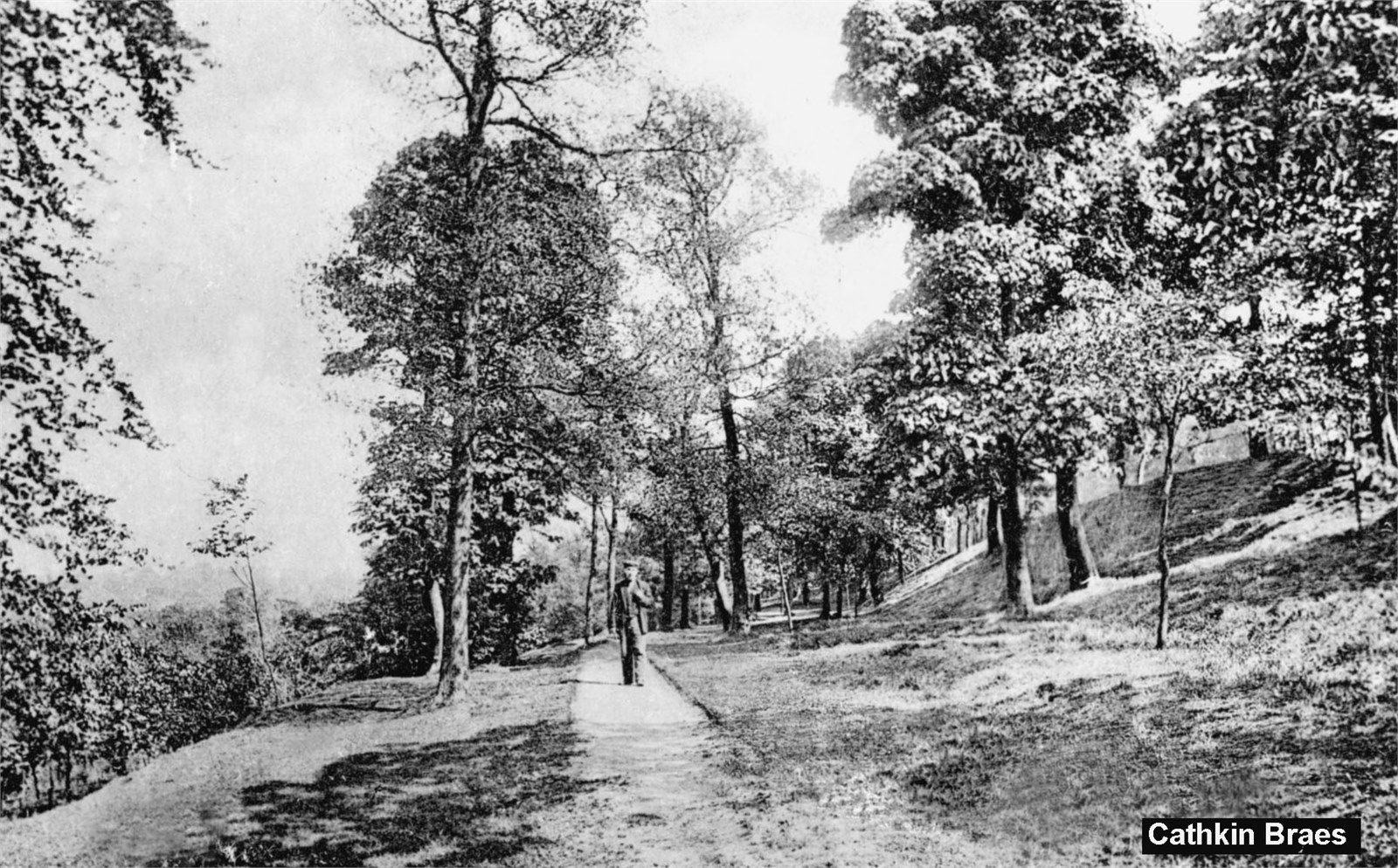 Cathkin Braes Postcard