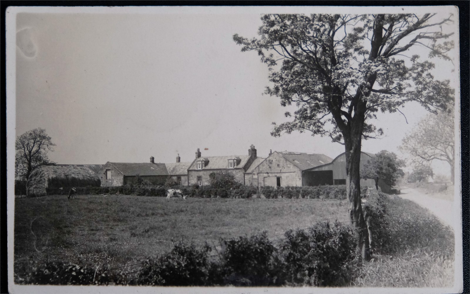 Mid Netherton Farm