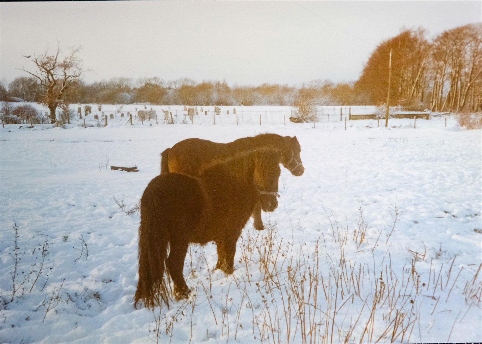 Mid Netherton Farm