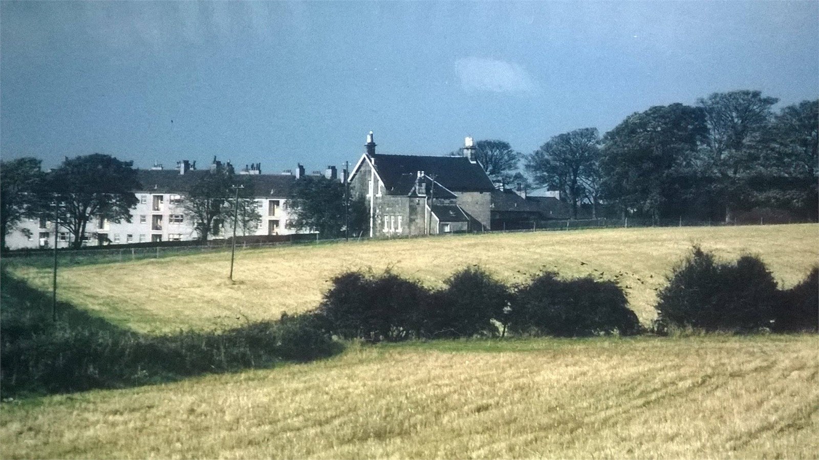 Windlaw with Castlemilk in background