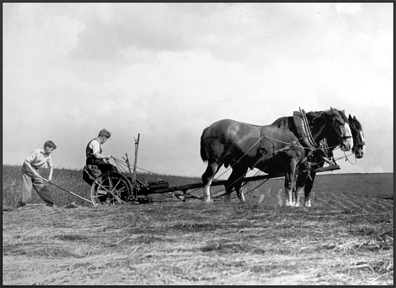 Farm 102