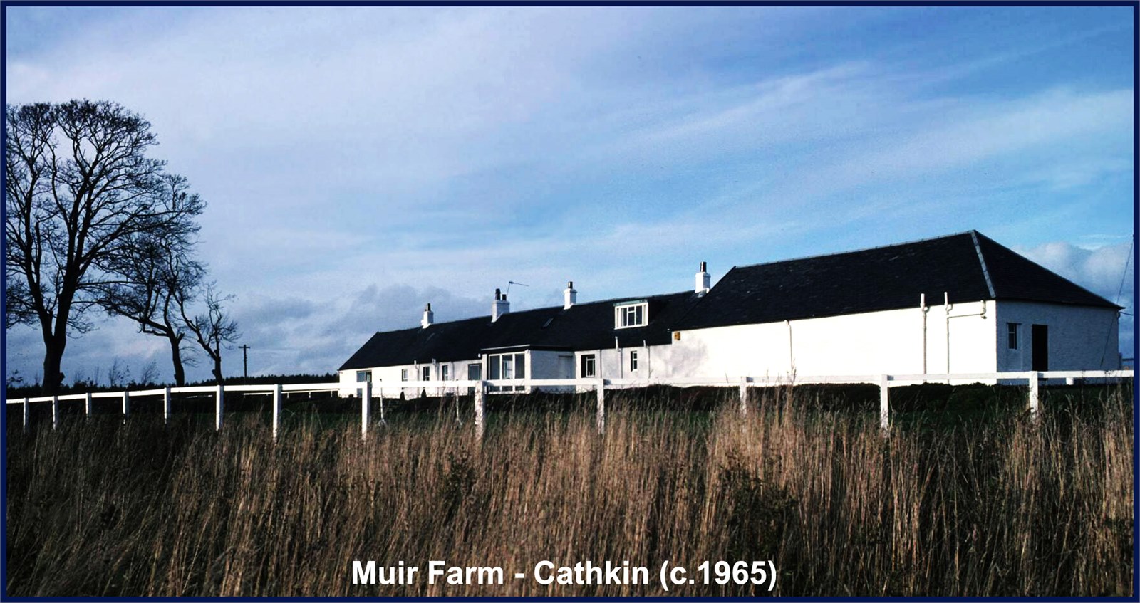 Farm 209