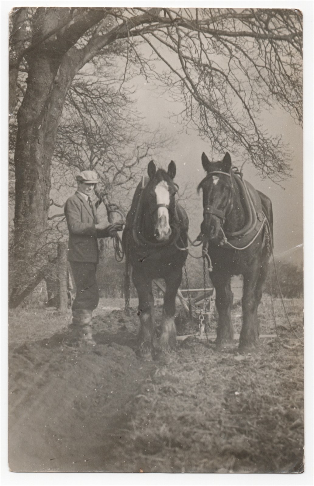 Feb1951