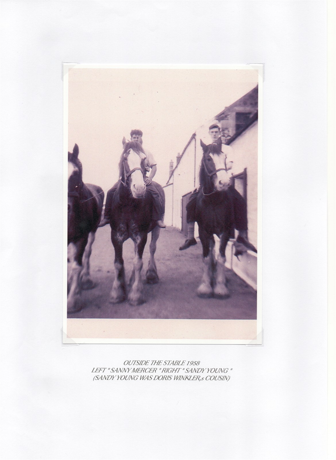 Scan 3