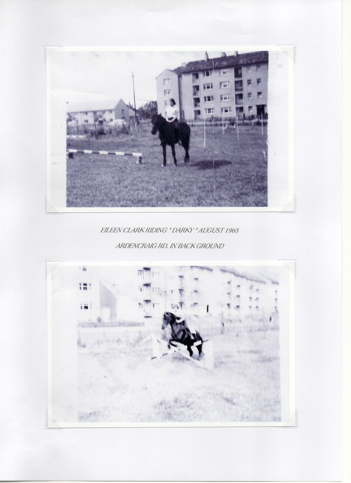 Scan 5
