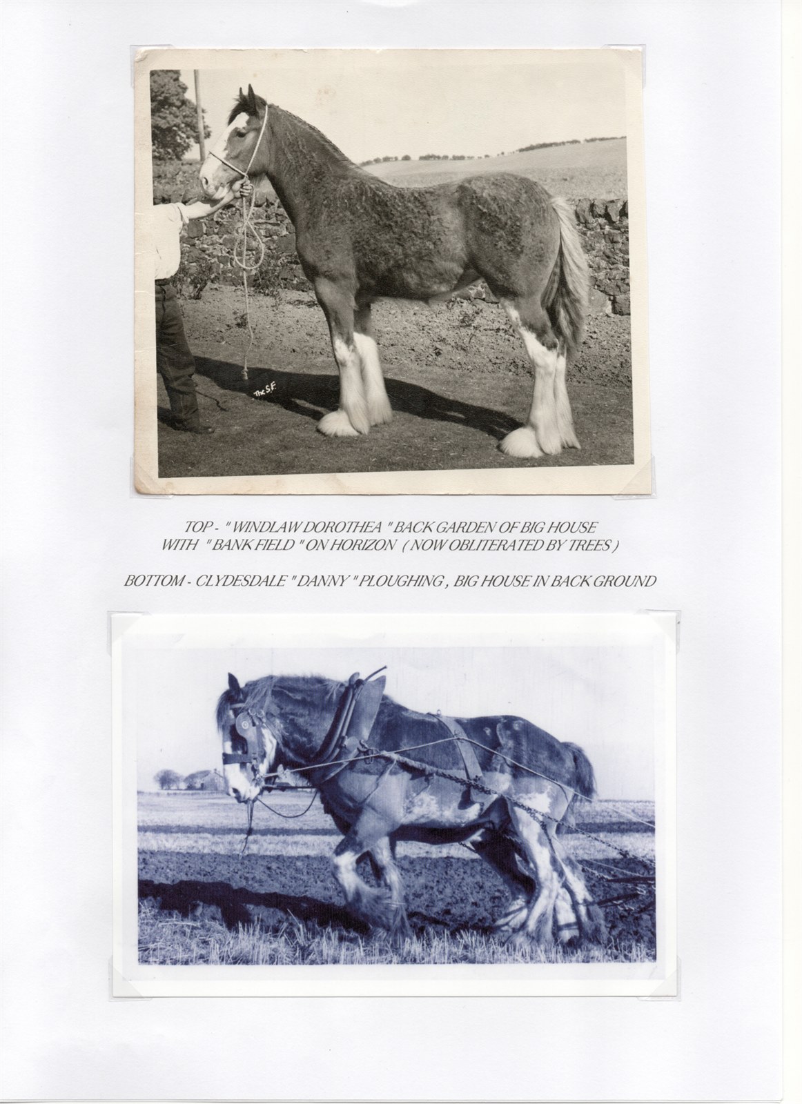 Scan 6