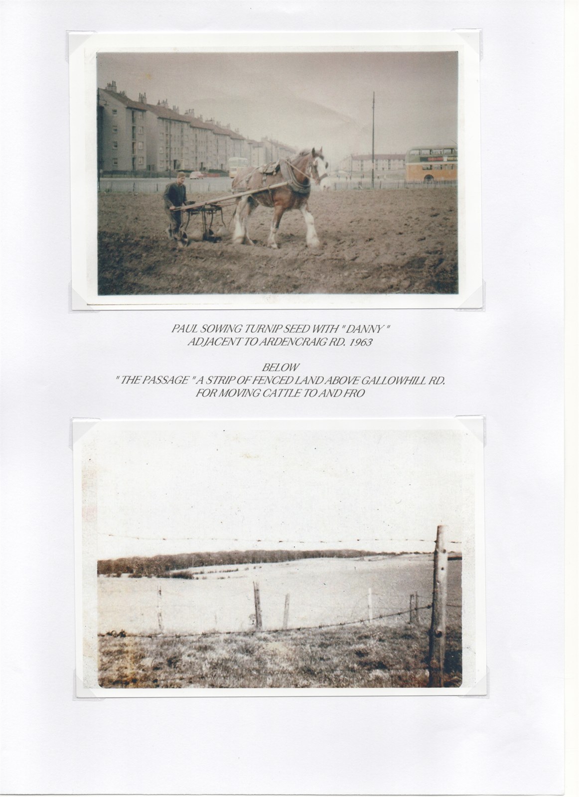Scan 7