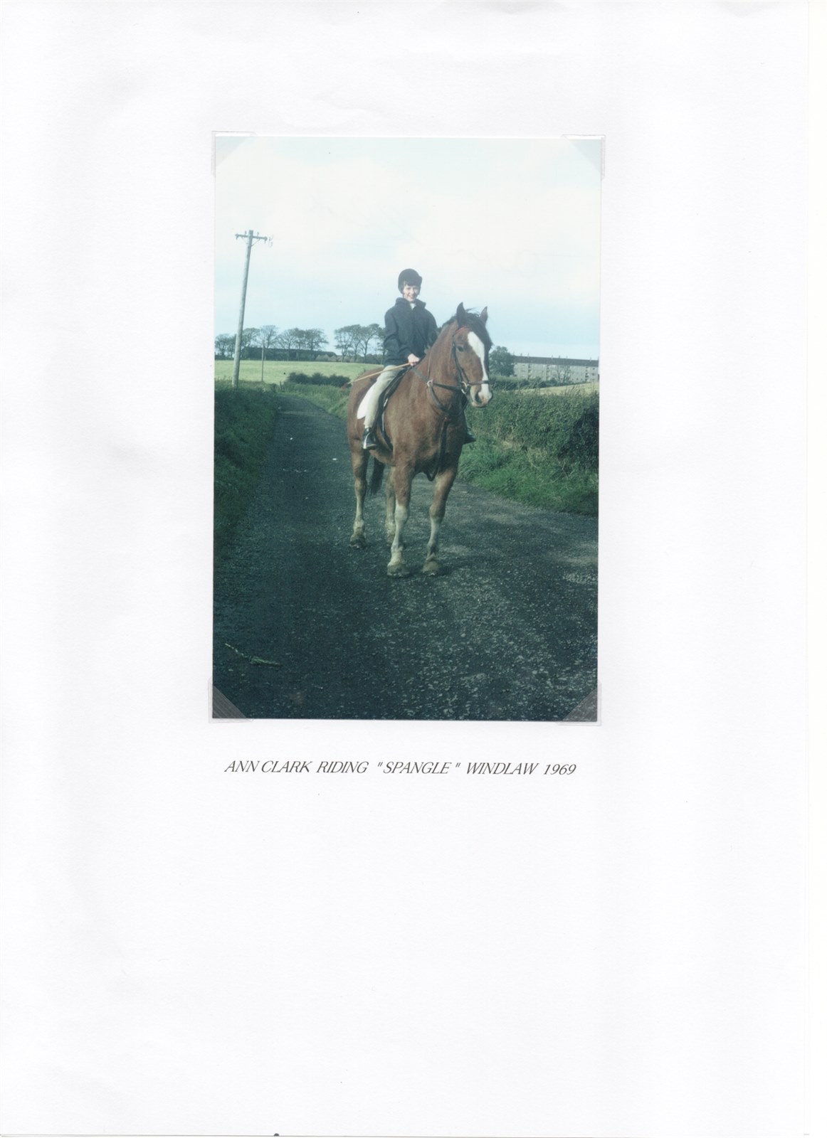 Scan 8