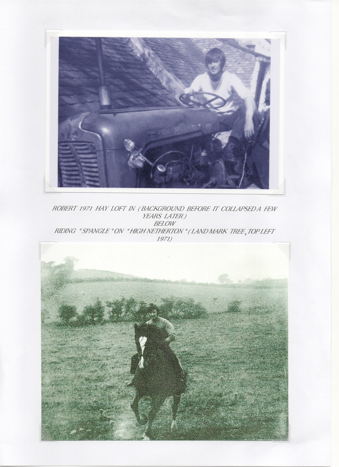 Scan 11