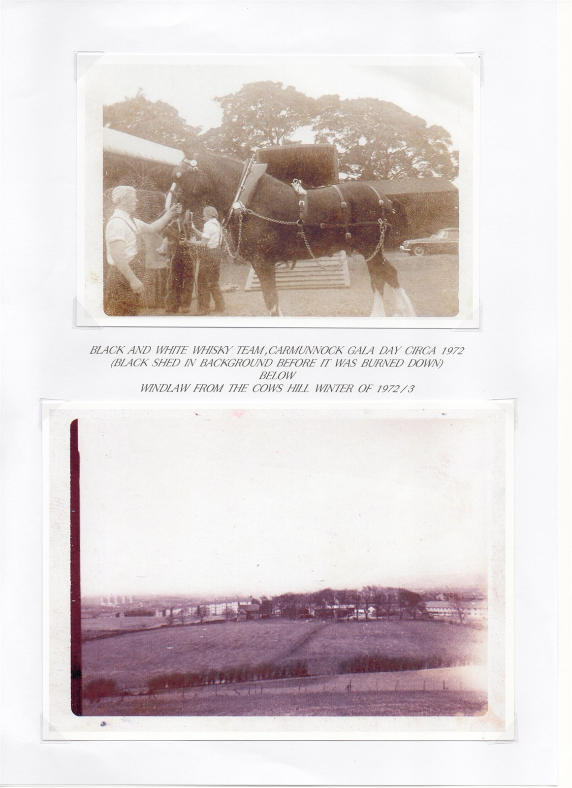 Scan 12