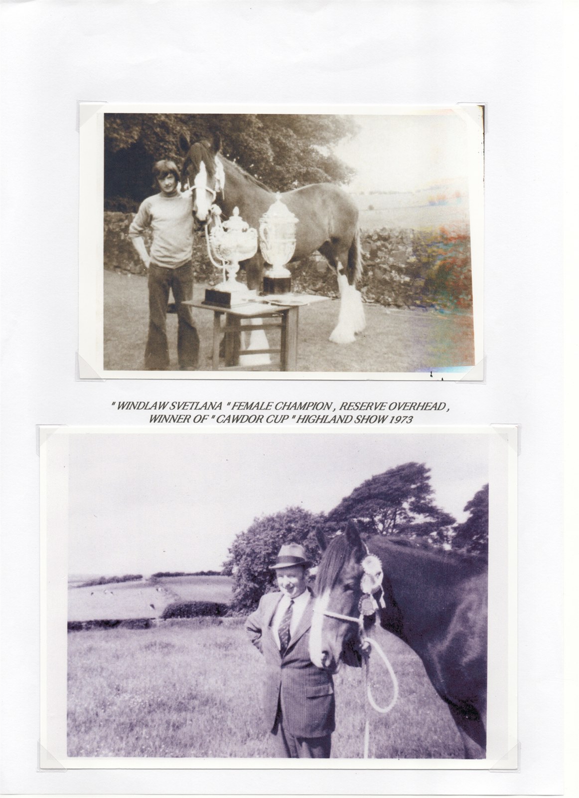 Scan 14