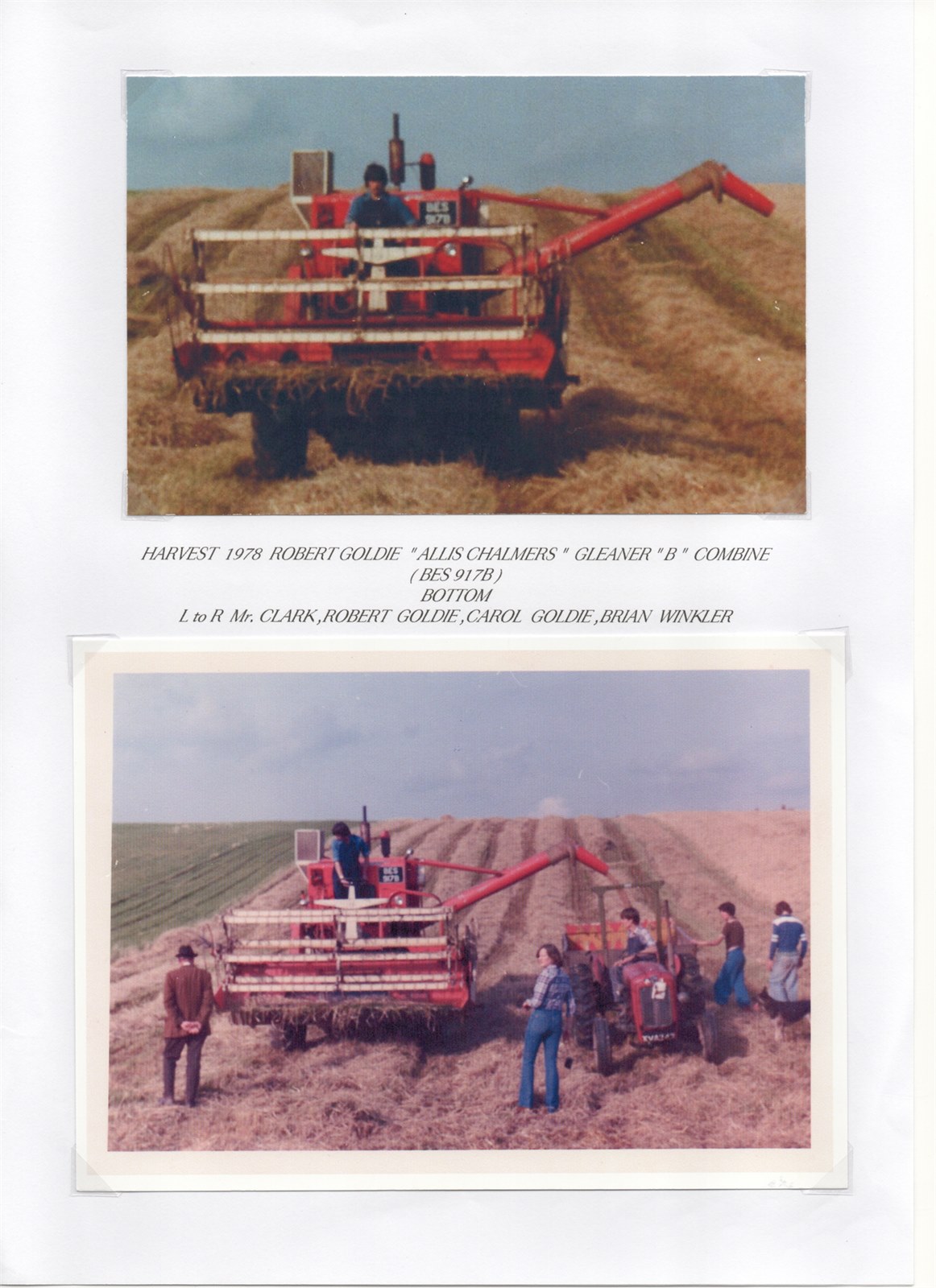 Scan 19
