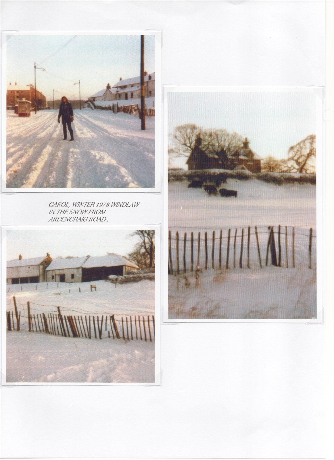 Scan 21
