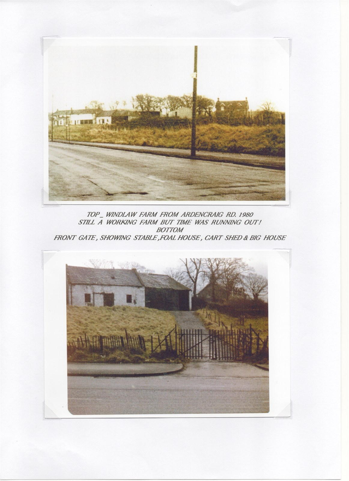 Scan 22