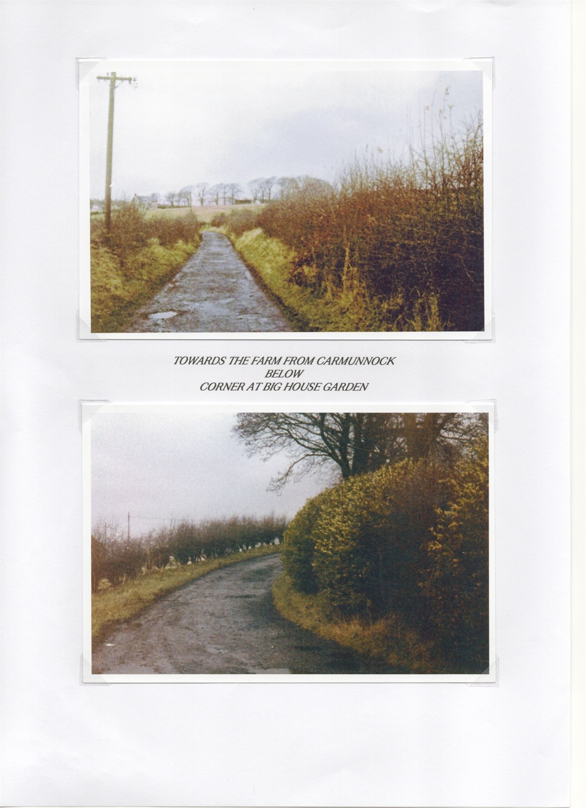 Scan 25