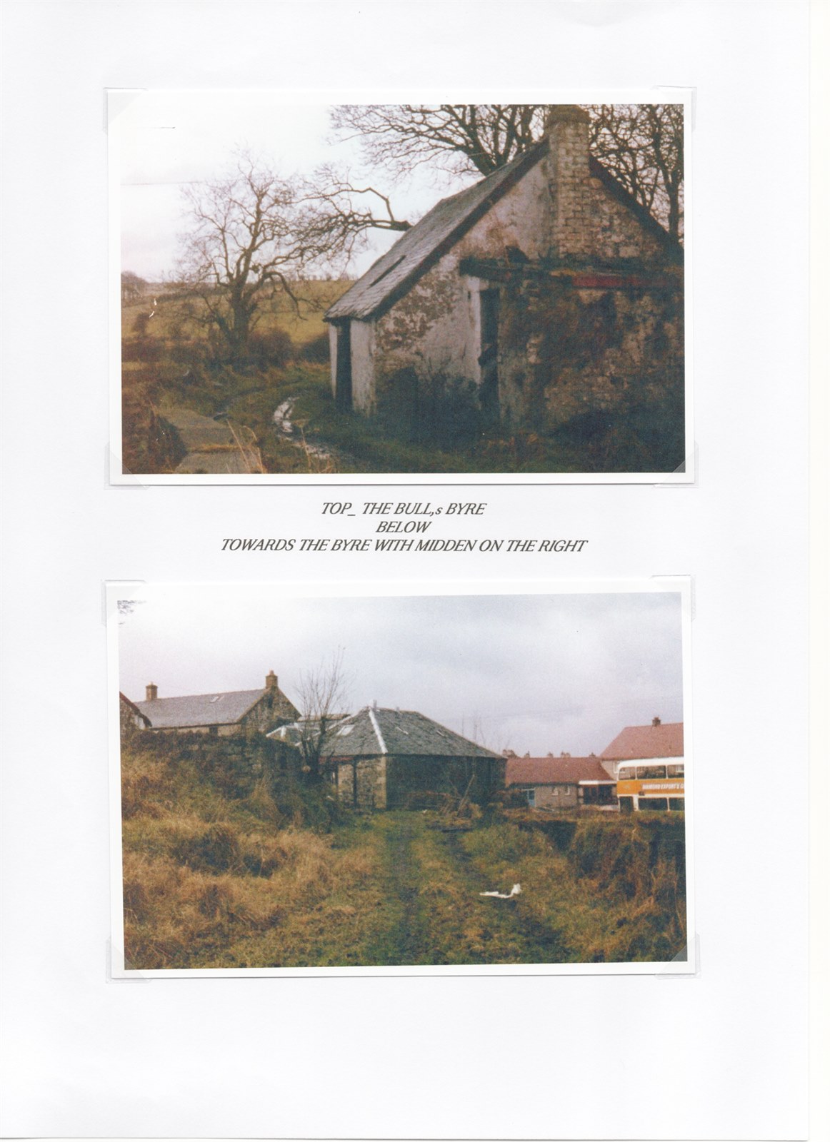 Scan 28