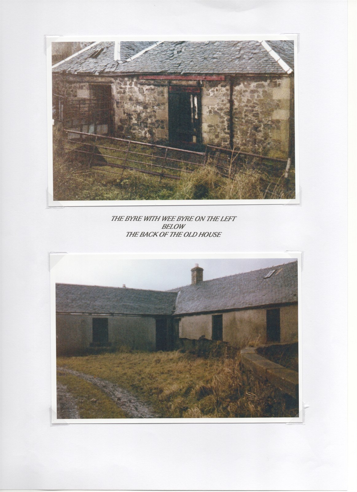 Scan 30
