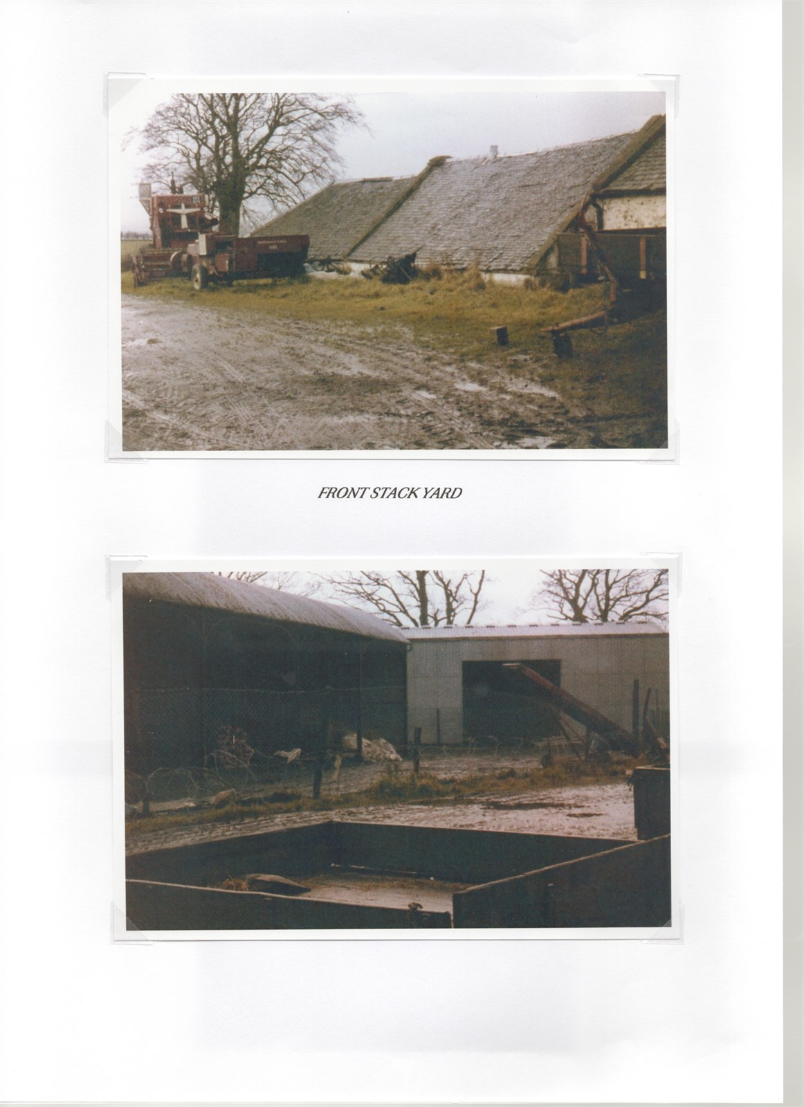 Scan 31